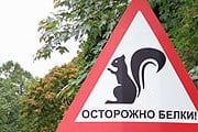 Новый знак призывает водителей быть внимательнее. // the-village.ru
