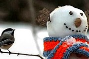 Посетители смогут слепить собственных снеговиков. // xage.ru