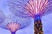 Сингапурский парк приглашает на зимние праздники. // gardensbythebay.com.sg