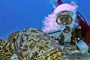 Подводного Санту можно увидеть в зоопарке. // masslive.com