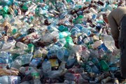 Пластик наносит ущерб природе. // lyndseyyoung.co.uk