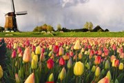 Нидерланды нравятся туристам. // paxarcana.wordpress.com