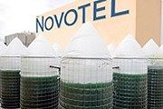 Спирулина – полезная водоросль. // novotelbkk.com