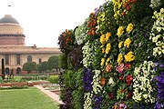 Могольские сады доступны в течение месяца. // India-forums.com