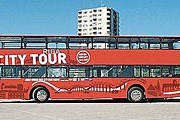 Подобные автобусы работают во многих городах мира. // d-pils.lv