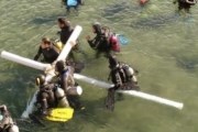 Подводное шествие устраивают в городе Пуэрто-Мадрин. // patagonia.com.ar