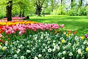 В парке высаживают тысячи тюльпанов. // arredoeconvivio.com