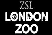 Посетители зоопарка понаблюдают за ночной жизнью животных. // zsl.org