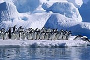 Антарктика принимает все больше туристов. // nav96.ru