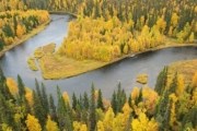 Парк "Оуланка" находится на границе с Россией. // nationalgeographic.com