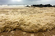 Море близ Биаррица загрязнено. // bbc.com