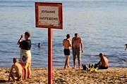 На пляжах Костромы нельзя купаться. // ria.ru