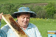 Пчеловоды предлагают традиционную оздоровительную процедуру. // altairegion22.ru
