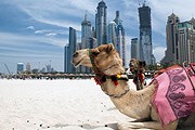 В Дубай едет все больше российских туристов. // iStockphoto / Cherkas