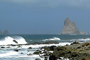 Новая морская экскурсия создана на Тенерифе. // libertaddigital.com