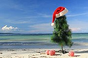 Новогодние каникулы за рубежом запланировали лишь 3% наших туристов. // Shutterstock