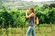 Туристы посетят виноградники. // quelujo.es