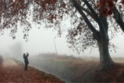 Туман создает особое настроение. // noticia.ru