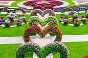В "Саду чудес" - 45 миллионов цветов. // bubblews.com