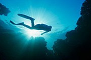 Подводные пещеры обнаружены в Доминикане. // GettyImages