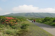 Осима - один из красивейших японских островов. // article.wn.com