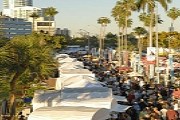 Фестиваль проходит в живописном пригороде Майами. // examiner.com