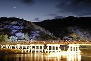 "Дорога света" проведет туристов по самым красивым местам Киото. // kyotoguide.org