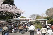 Токийский зоопарк ждет туристов. // timeout.jp