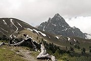 Пока в Швейцарии только один национальный парк. // Swiss National Park