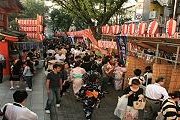 Праздник физалиса  - один из любимых в Токио. // gotokyo.org
