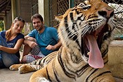 Вход в зоопарки Таиланда будет бесплатным. // veoelmundo.com