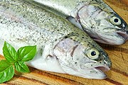 Множество рыбы и морепродуктов представят на "Рыбном базаре". // gourmetrecipe.com