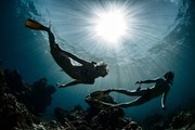 Мексика предлагает развлечения под водой.  // Dudarev Mikhail, Shutterstock.com
