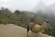 Дорога инков вошла в Список Всемирного наследия ЮНЕСКО.  // J. Stephen Lee, Shutterstock.com
