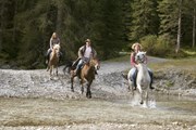 Гостям предлагаются конные прогулки.  // In Tune, Shutterstock.com