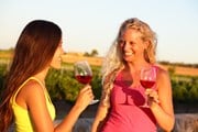 Чехия ждет любителей вина. // Maridav, Shutterstock.com