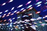 Фестиваль фонарей - одно из самых красочных событий Сеула.