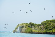 Острова Росарио - уникальный национальный заповедник.  // christian kober , Shutterstock.com