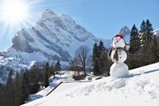 Новый год в горах будет интересным.  // Alexander Chaikin, Shutterstock.com