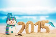 С наступающим 2015 годом! // Laboko