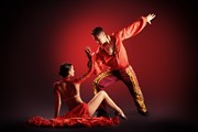 Будет представлено 10 стилей танца.  // Kiselev Andrey Valerevich, Shutterstock.com