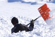 Снега слишком много.  // Trudy Wilkerson, Shutterstock.com