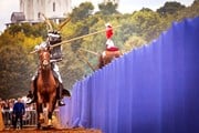 Рыцари приедут со своими конями.  // ratobor.com