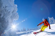 На лыжных курортах Сочи достаточно снега.  // Samot, Shutterstock.com