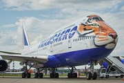 Самолет призван привлечь внимание к проблеме сохранения амурских тигров.
