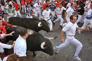 Забеги с быками привлекают более миллиона зрителей каждый год. // revistadenavarra.com