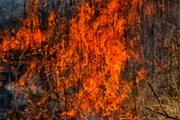 Сильные пожары бушуют в лесах Байкала.