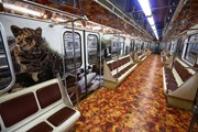 Тигро-леопардовый поезд метро // dt.mos.ru