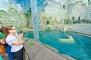 Московский зоопарк - один из самых посещаемых в мире. // moscowzoo.ru