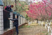 Туристы перелезли через забор в тюремный сад. // shanghaiist.com